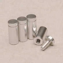 Load image into Gallery viewer, 4 Individual Silver Standoff Bolt Set
